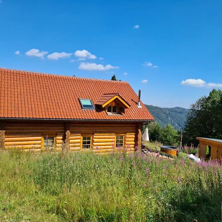 Luxus-Ferienhaus Blockhaus Chalet Nr 2 Toplage Am Feldberg Mit Sauna, Outdoor-Hottub, Kamin Auf 1300M Uem Eksteriør billede